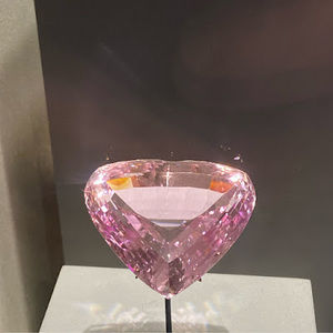 Meet your Posher, Kiara